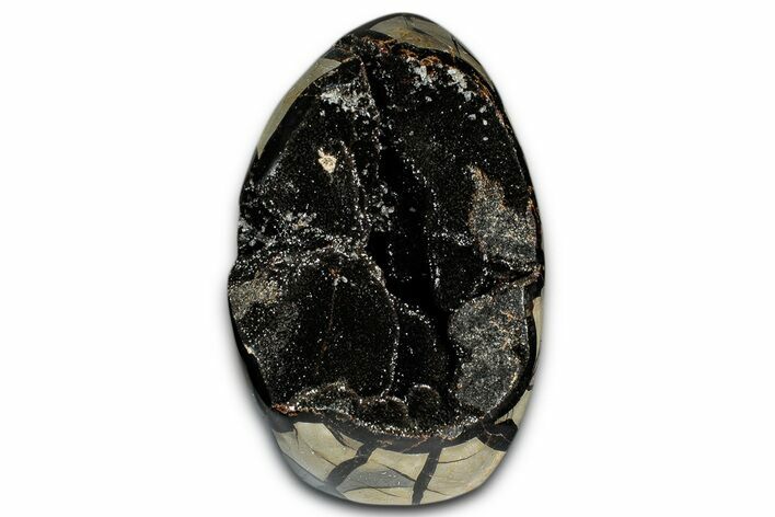 Free-Standing, Polished Septarian Geode - Black Crystals #348951